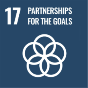 Ziel 17 für nachhaltige Entwicklung: Partnerships for the Goals – Partnerschaften zur Erreichung der Ziele
